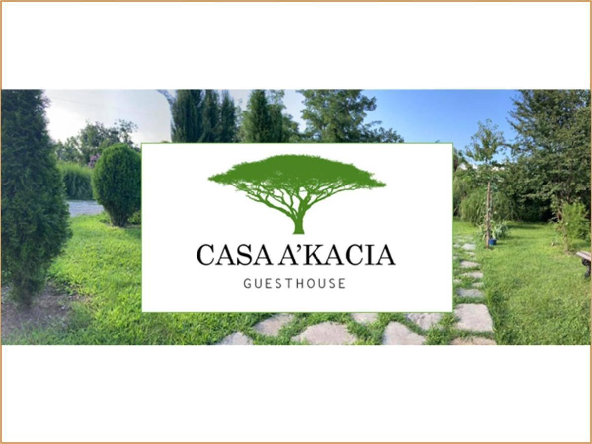 Casa Akacia Hotel Telavi Exterior photo